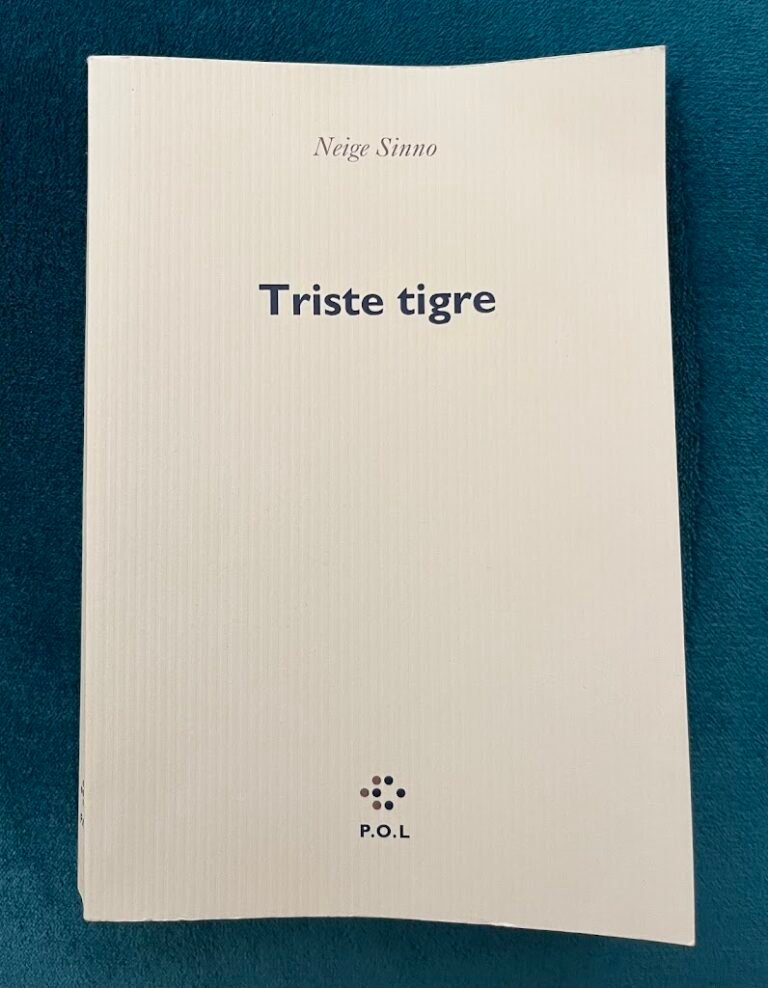 Triste tigre, écrire l’inceste