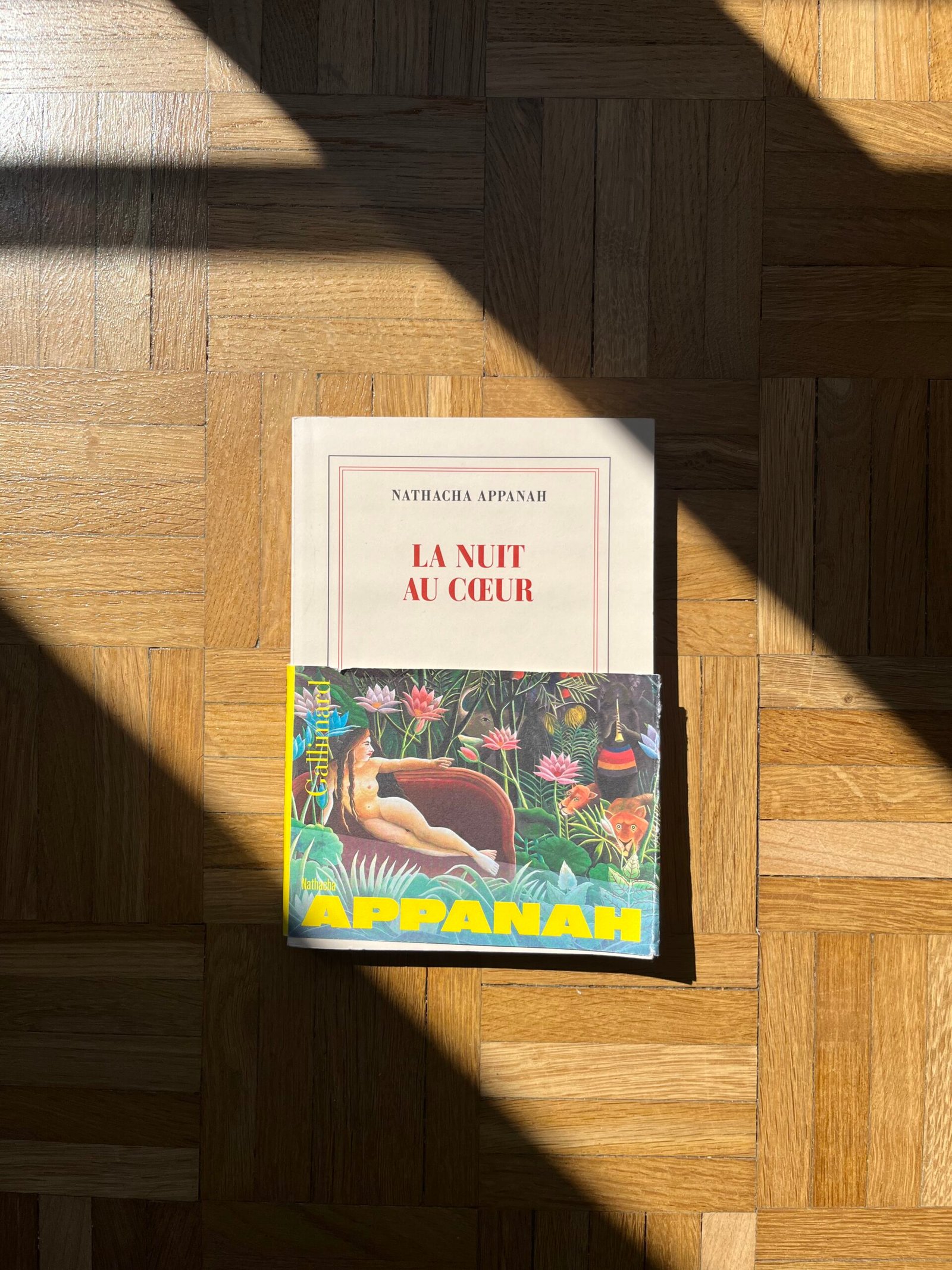 Féminicide La nuit au coeur Natacha Appanah